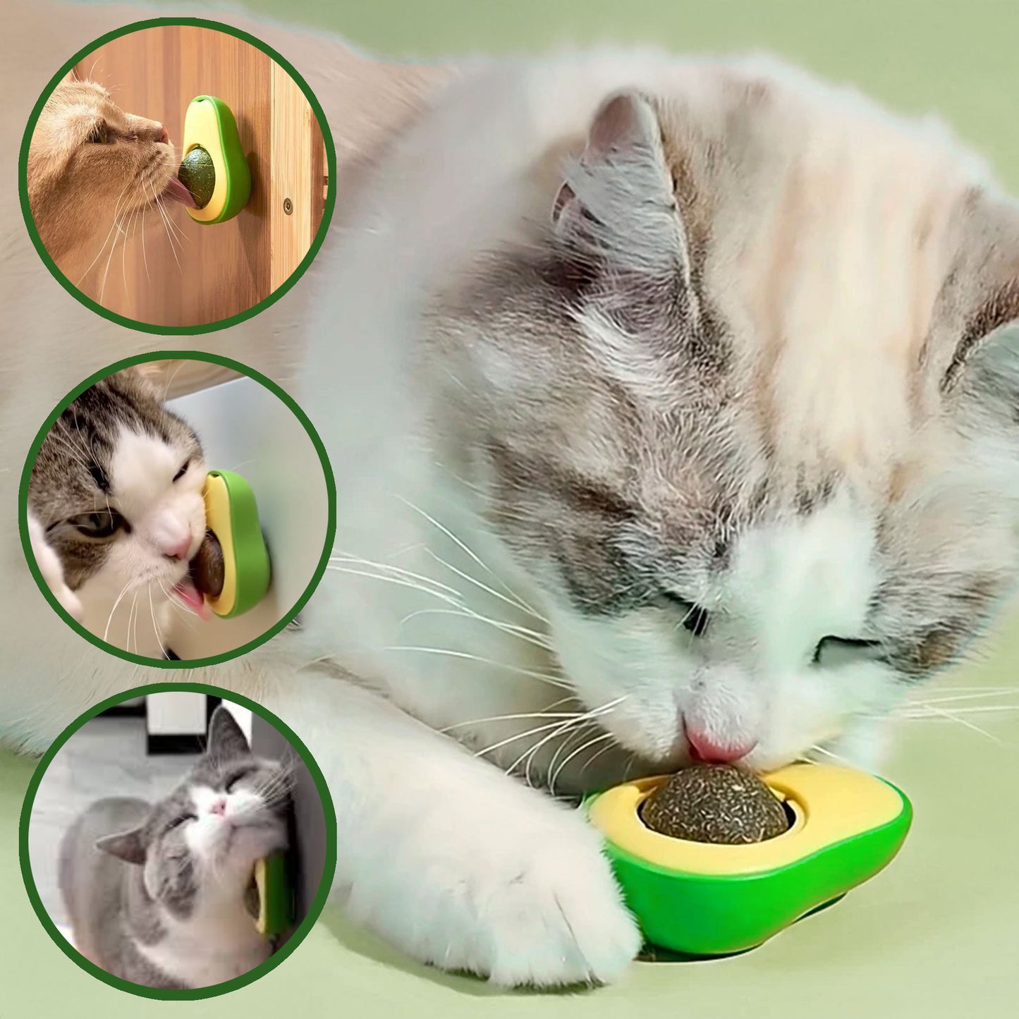 Bola Catnip Para Gatos Con Dispensador Giratorio 360°