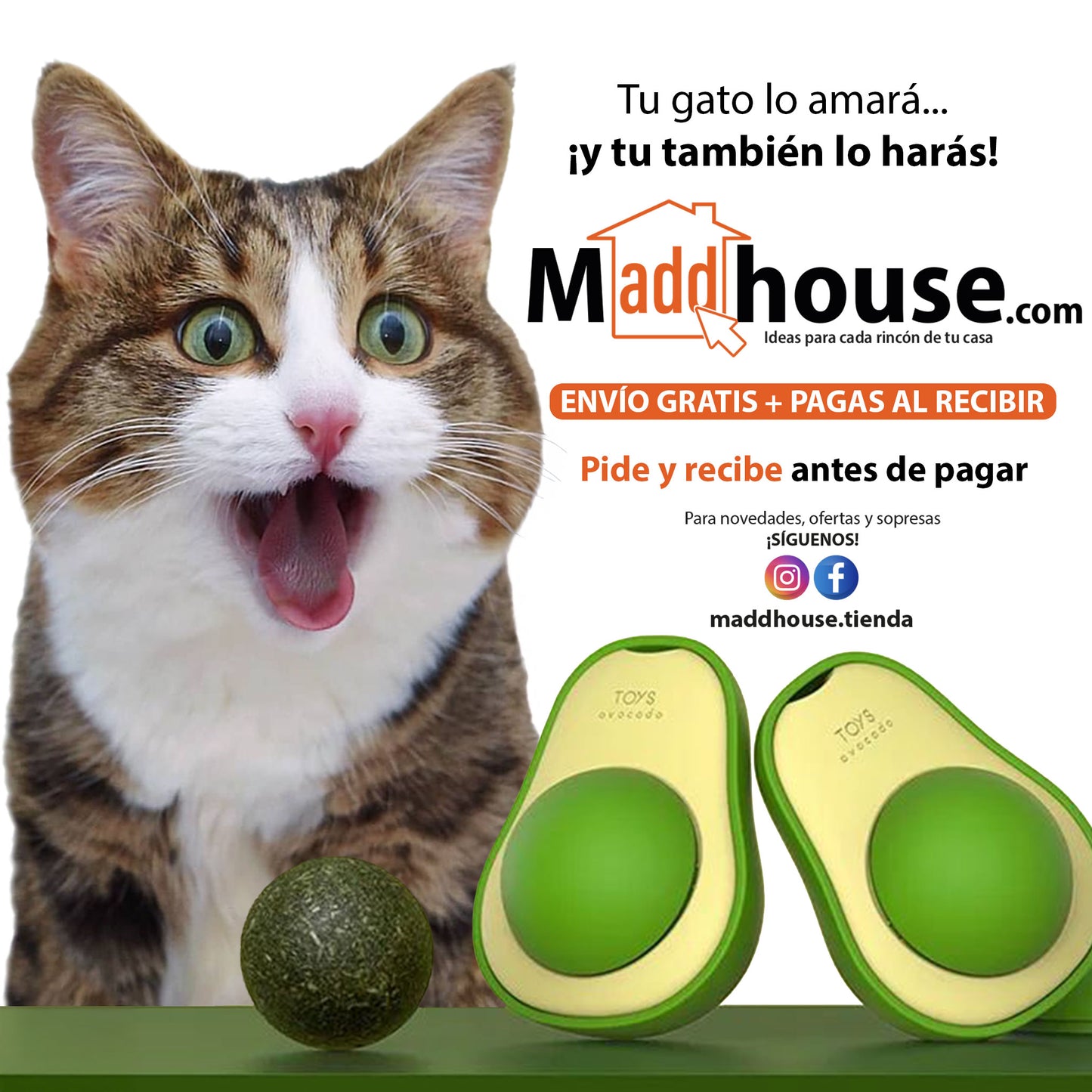 Bola Catnip Para Gatos Con Dispensador Giratorio 360°